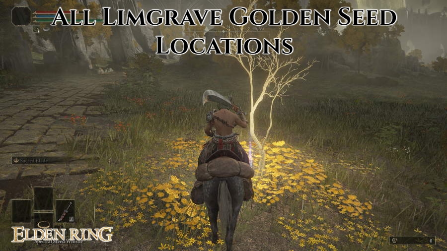 You are currently viewing All Limgrave Golden Seed Locations In Elden Ring