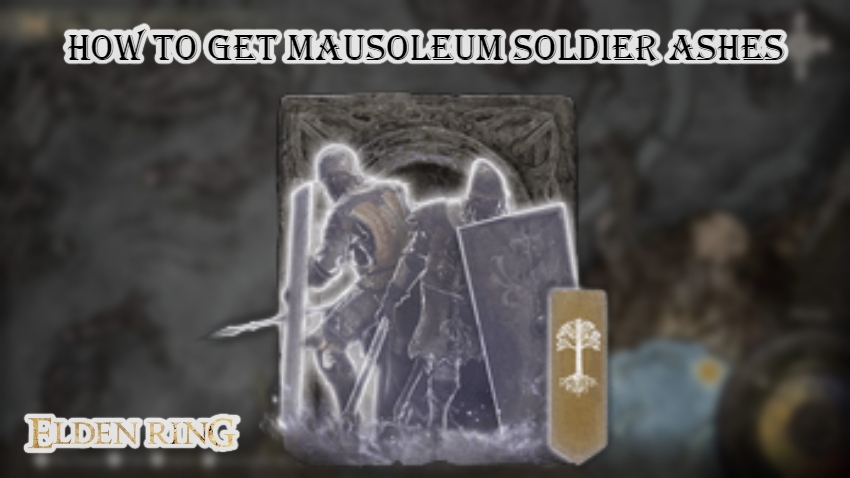 Read more about the article Elden Ring: How to Get Mausoleum Soldier Ashes