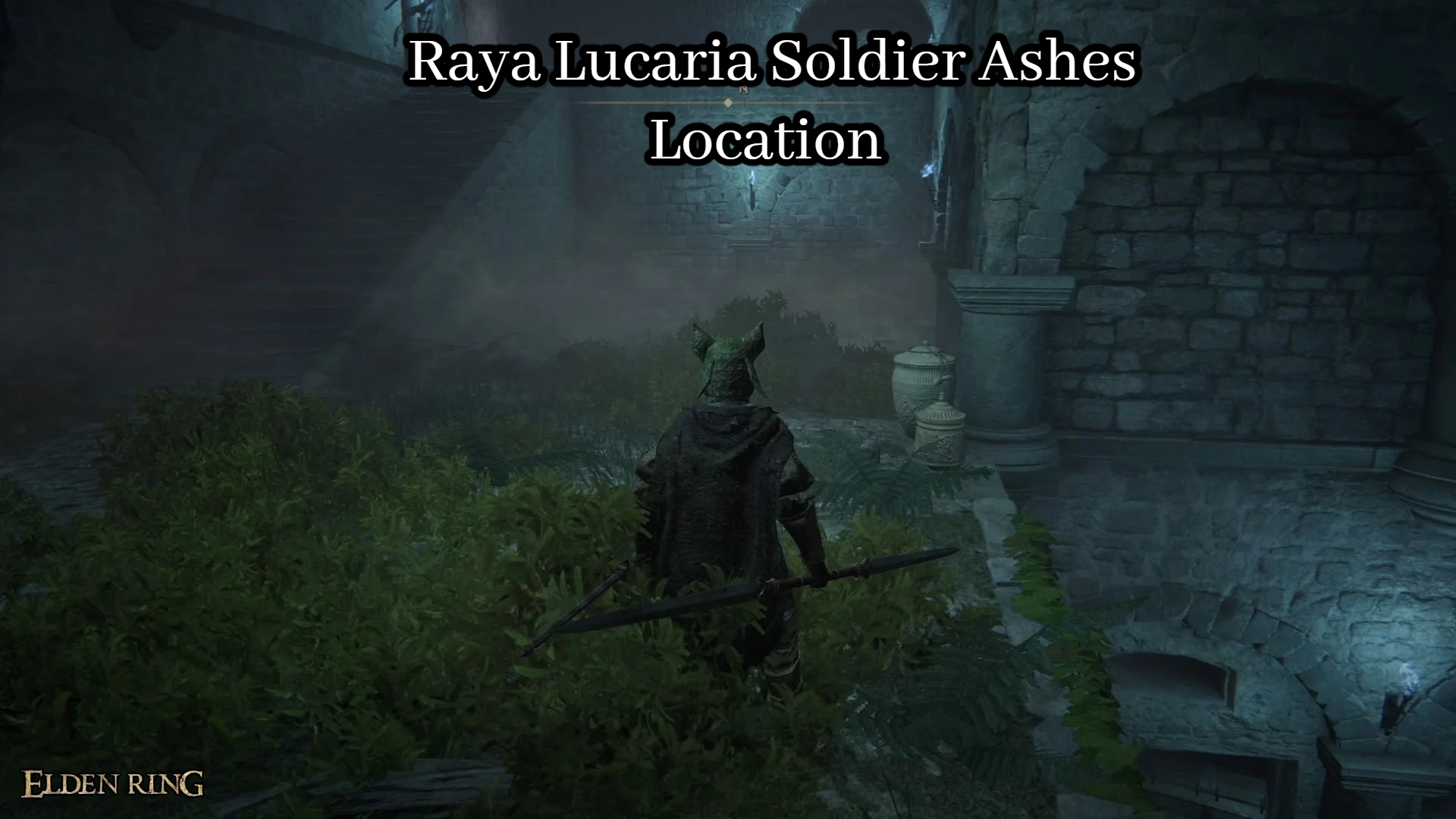Read more about the article Raya Lucaria Soldier Ashes Location In Elden Ring