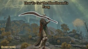 Read more about the article How To Get The Bloodhound’s Fang In Elden Ring