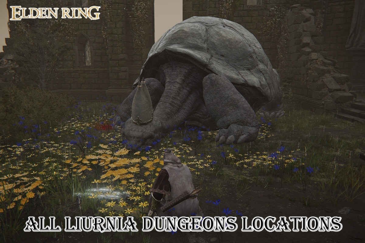 Read more about the article All Liurnia Dungeons Locations In Elden Ring