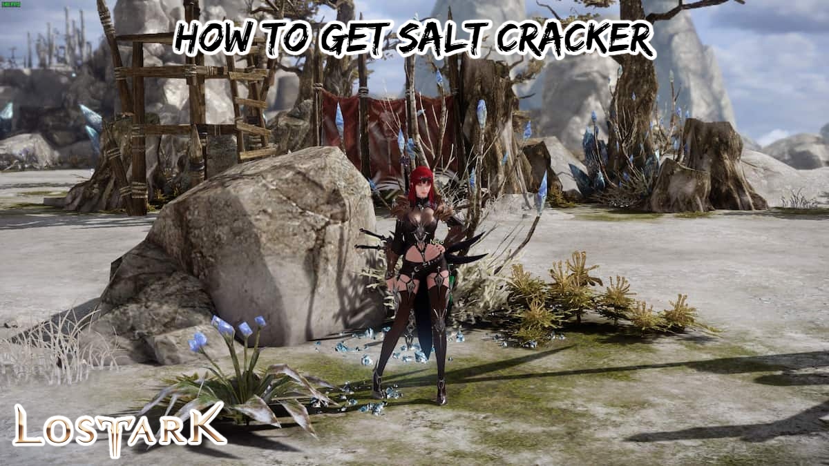 You are currently viewing How To Get Salt Cracker In Lost Ark