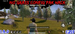 Read more about the article PUBG Mobile 1.9.0 No Grass Config Pak File Download C2S5