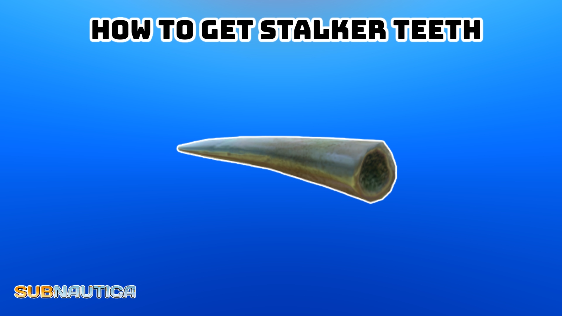 You are currently viewing How To Get Stalker Teeth In Subnautica