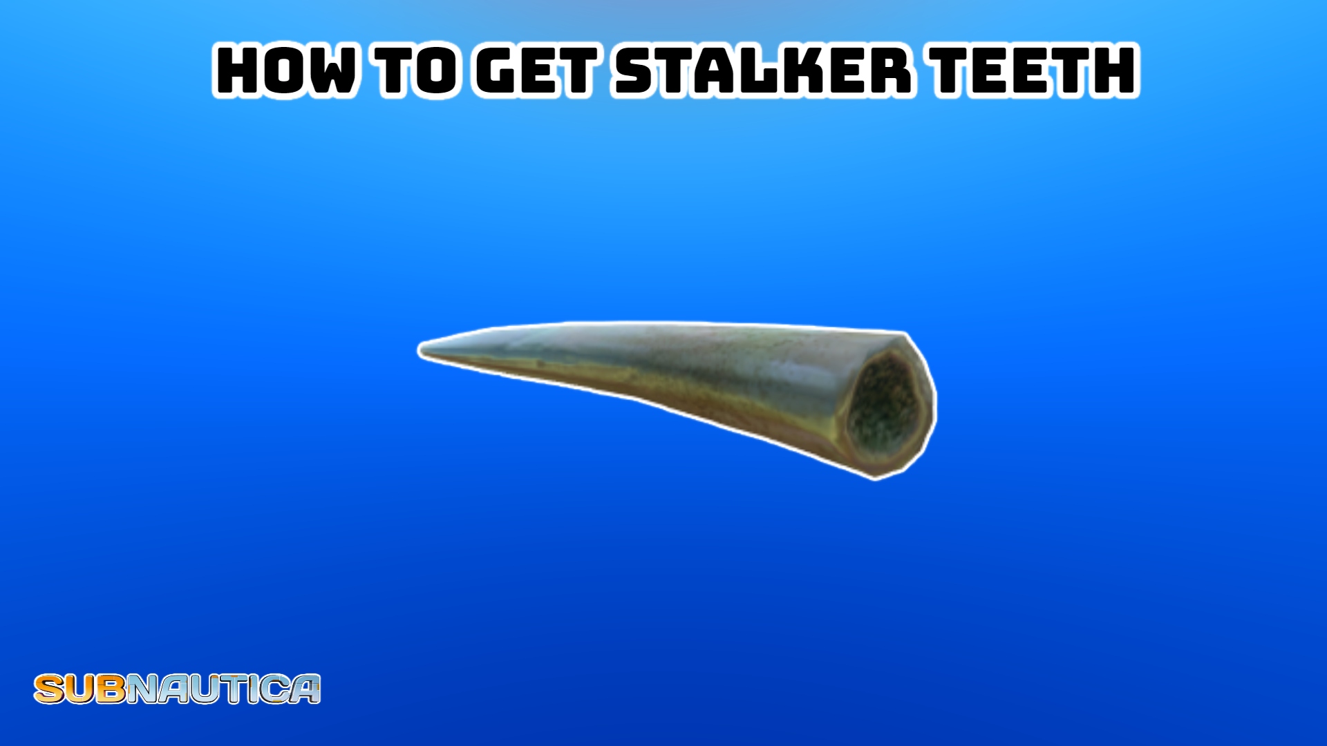 Read more about the article How To Get Stalker Teeth In Subnautica