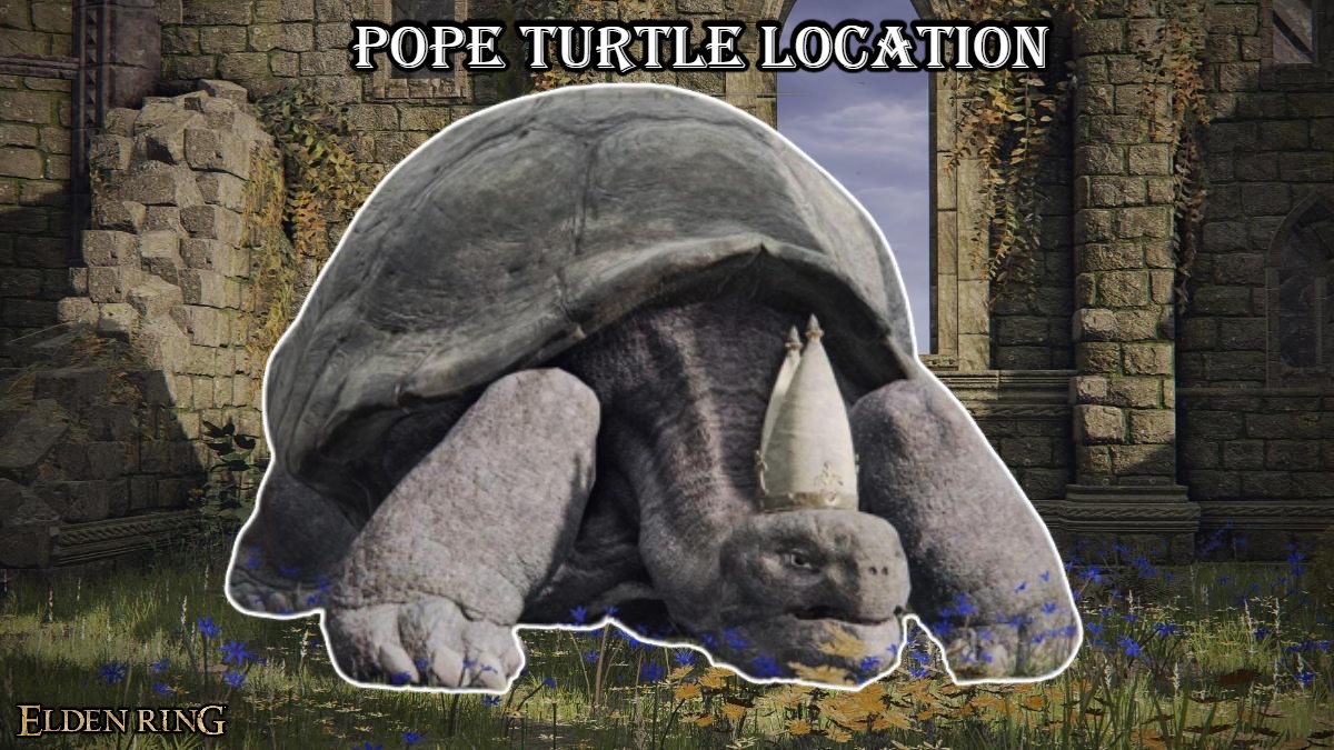 You are currently viewing Pope Turtle Location In Elden Ring