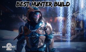 Read more about the article Best Hunter Build  In Destiny 2 2022