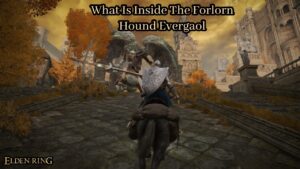 Read more about the article Elden Ring: What Is Inside The Forlorn Hound Evergaol