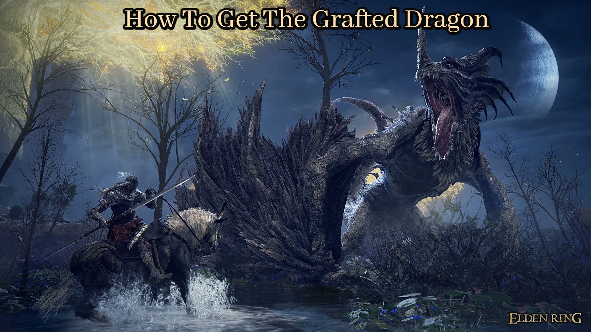 Read more about the article How To Get The Grafted Dragon In Elden Ring