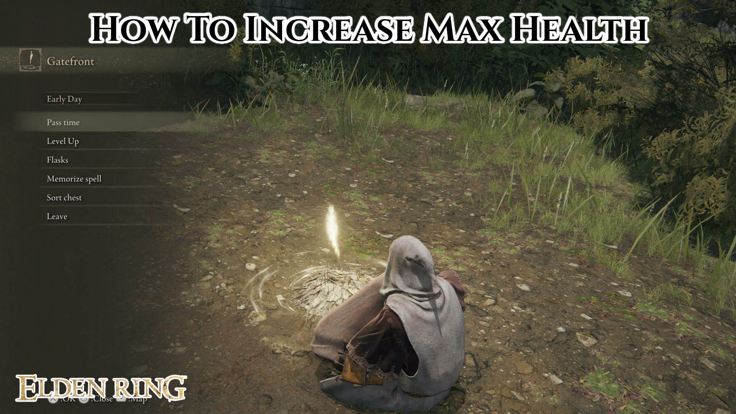 You are currently viewing How To Increase Max Health In Elden Ring