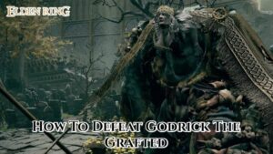 Read more about the article How To Defeat Godrick The Grafted In Elden Ring 