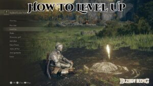 Read more about the article How To Level Up In Elden Ring