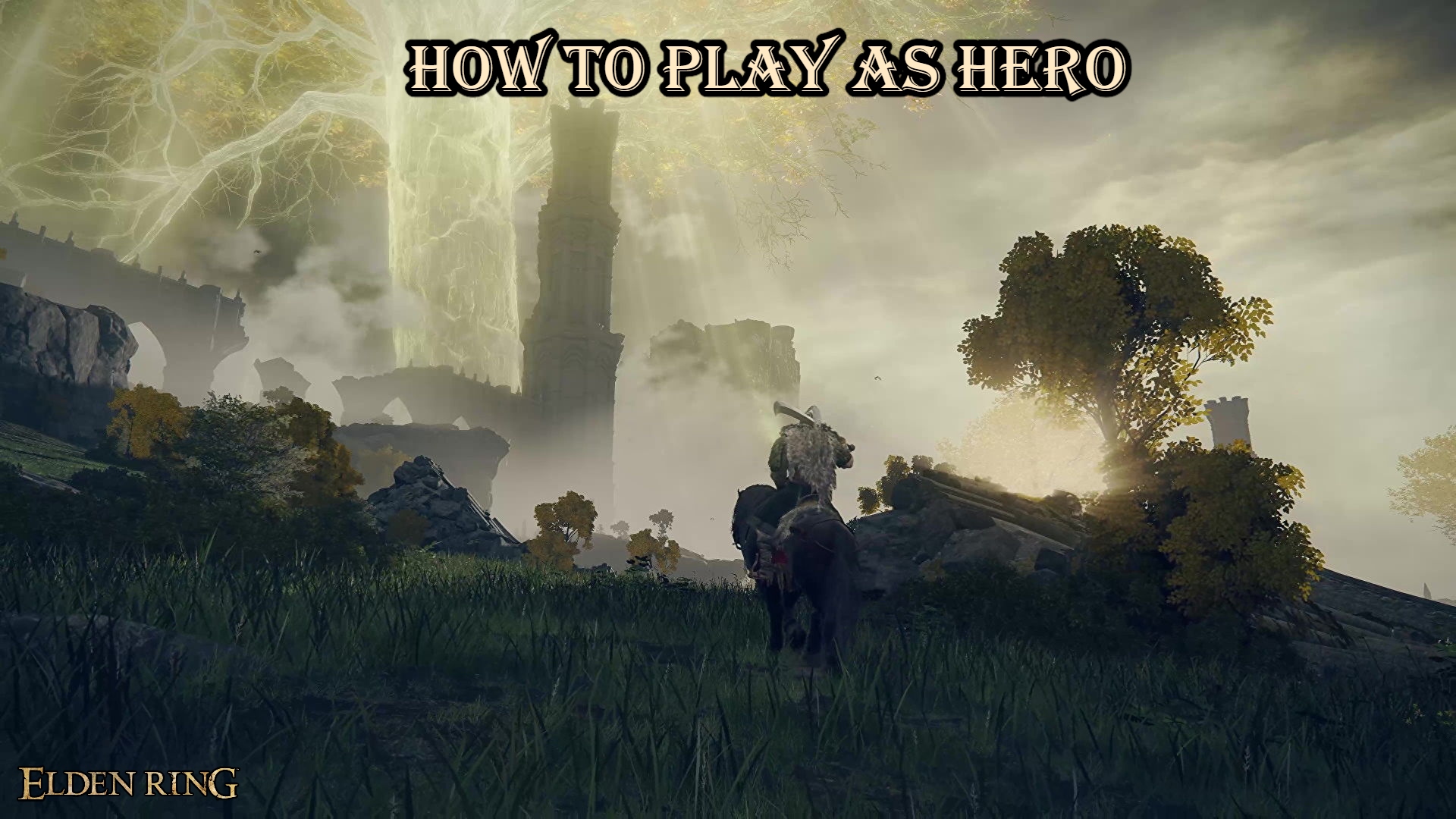 You are currently viewing How To Play As Hero In Elden Ring