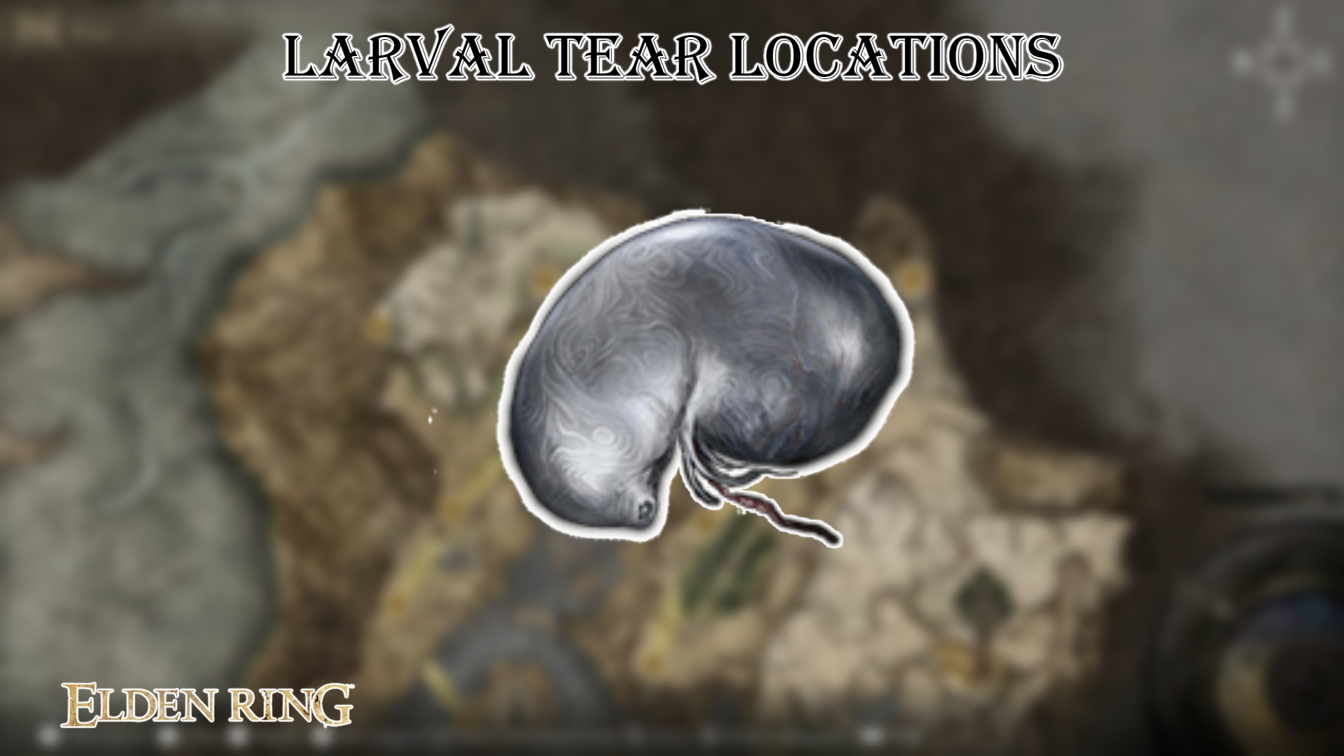 Read more about the article Larval Tear Locations In Elden Ring