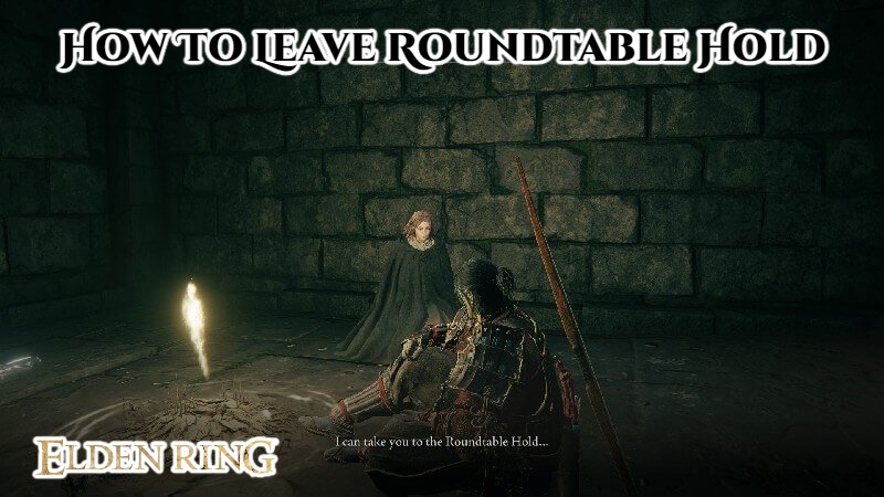 You are currently viewing How To Leave Roundtable Hold In Elden Ring