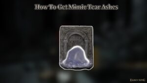 Read more about the article How To Get Mimic Tear Ashes In Elden Ring 