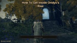 Read more about the article How To Get Inside Oridys’s Rise In Elden Ring
