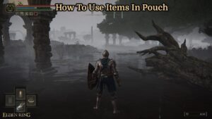 Read more about the article Elden Ring: How To Use Items In Pouch