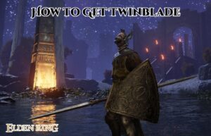 Read more about the article How to Get Twinblade In Elden Ring