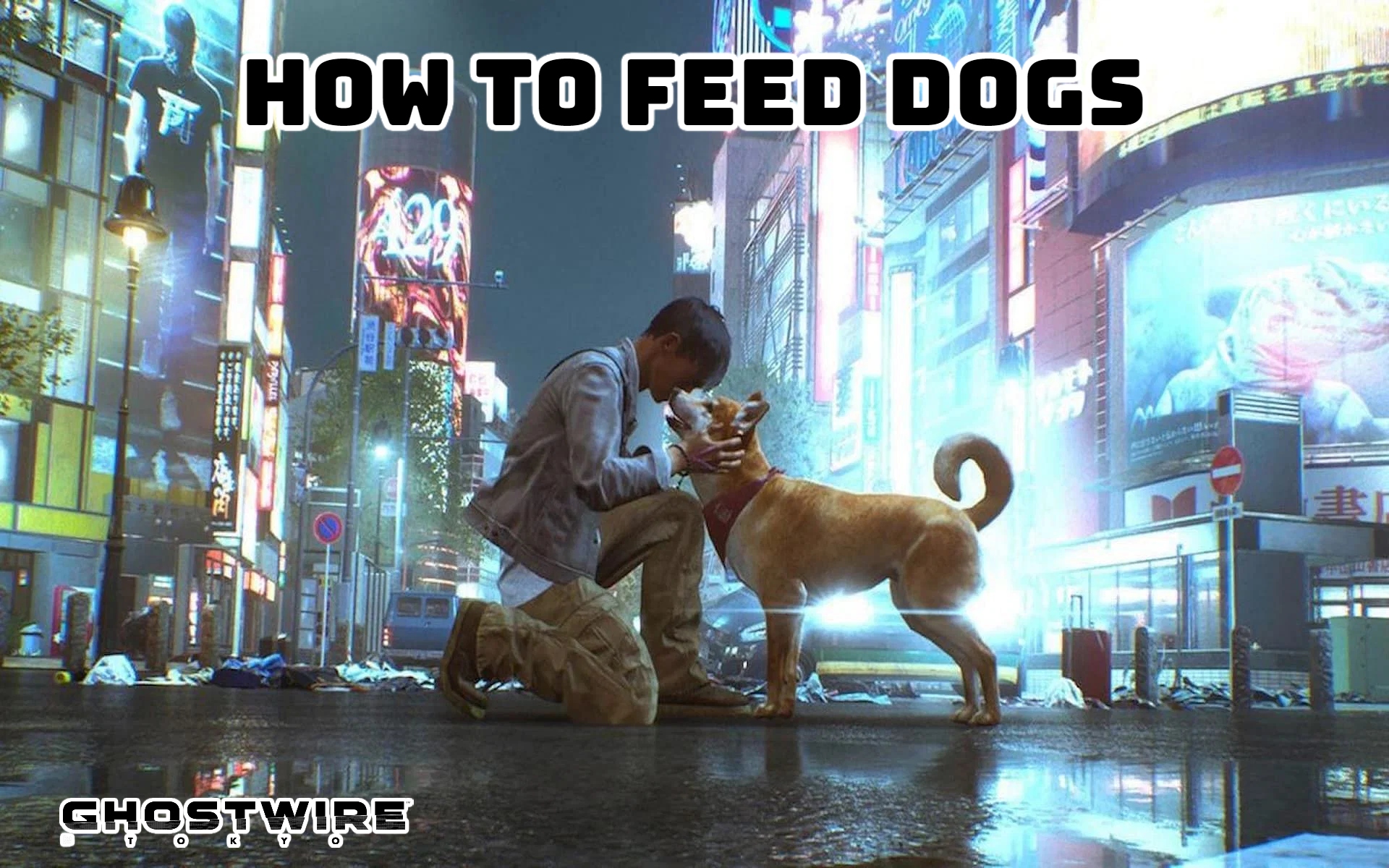 You are currently viewing How To Feed Dogs In Ghostwire Tokyo