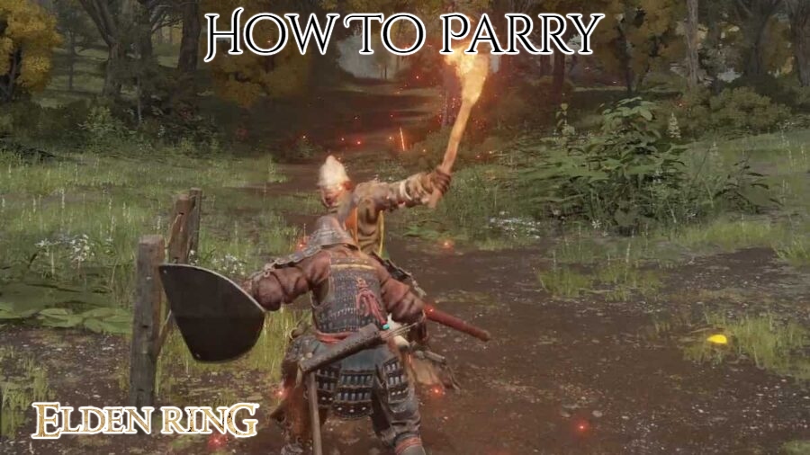 You are currently viewing How To Parry In Elden Ring PC