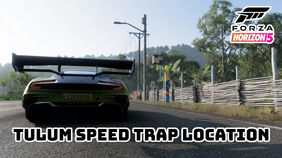 Read more about the article Tulum Speed Trap Location In Forza Horizon 5