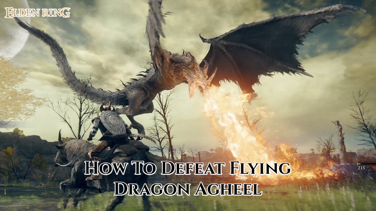 Read more about the article How To Defeat Flying Dragon Agheel In Elden Ring 