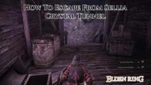 Read more about the article How To Escape From Sellia Crystal Tunnel In Elden Ring