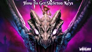 Read more about the article How To Get Skeleton Keys Tiny Tina