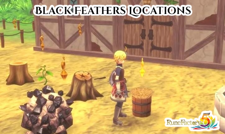 You are currently viewing Black Feathers Locations In Rune Factory 5