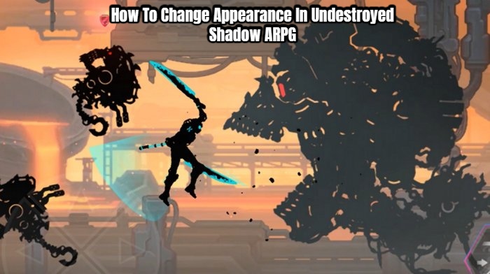 Read more about the article How To Change Appearance In Undestroyed Shadow ARPG
