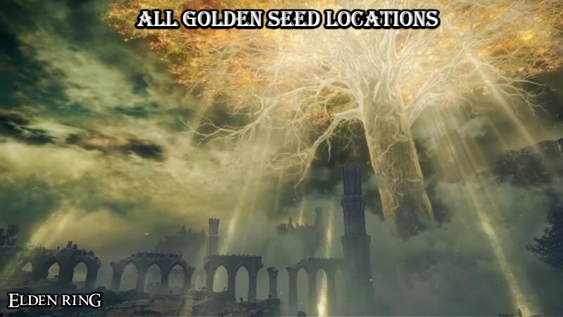 You are currently viewing All Golden Seed Locations In Elden Ring