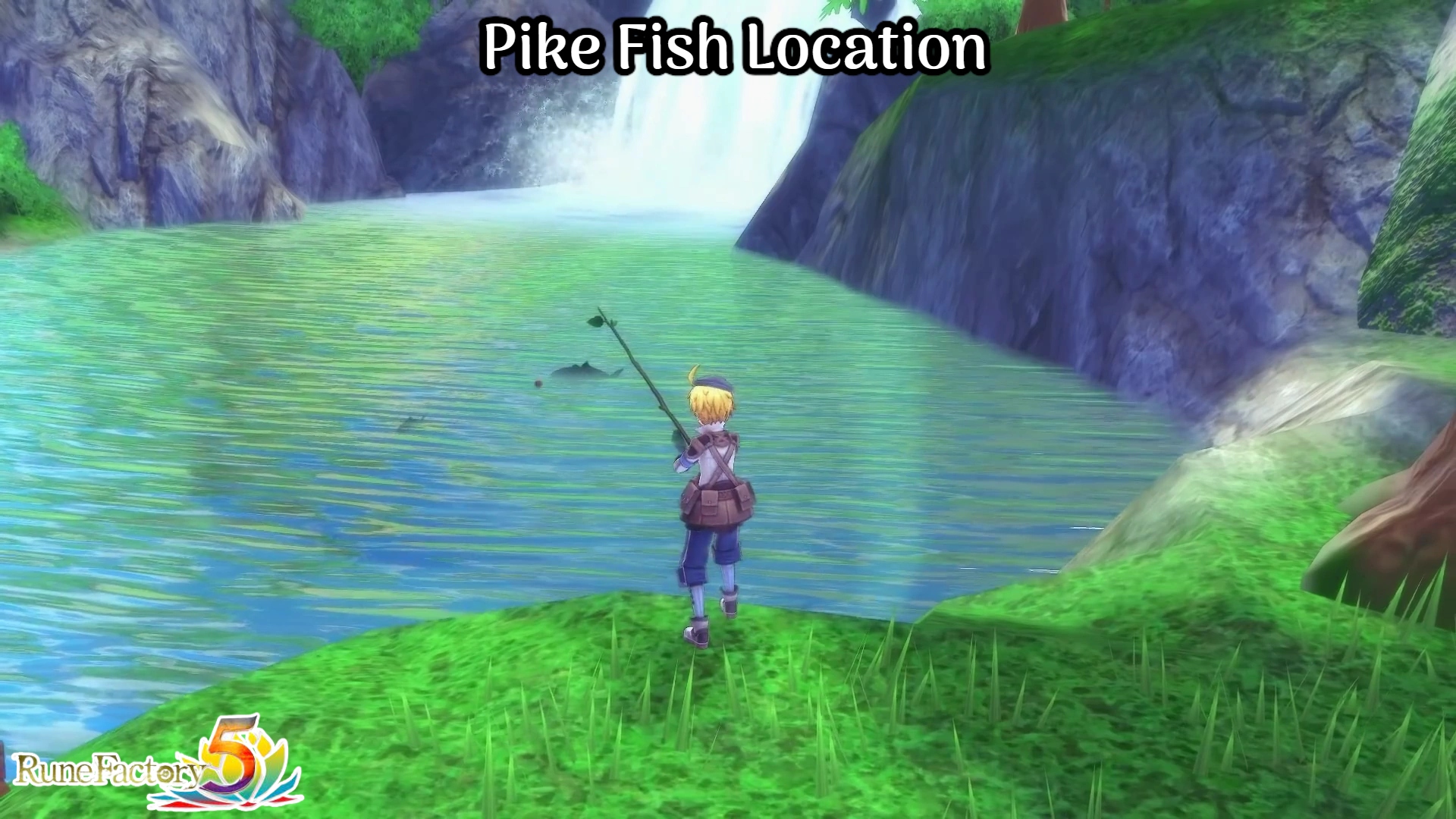 You are currently viewing Pike Fish Location In Rune Factory 5