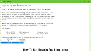 Read more about the article How To Set Domain For Localhost