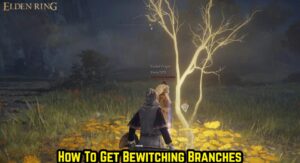 Read more about the article How To Get Bewitching Branches In Elden Ring