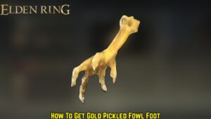Read more about the article How To Get Gold Pickled Fowl Foot in Elden Ring