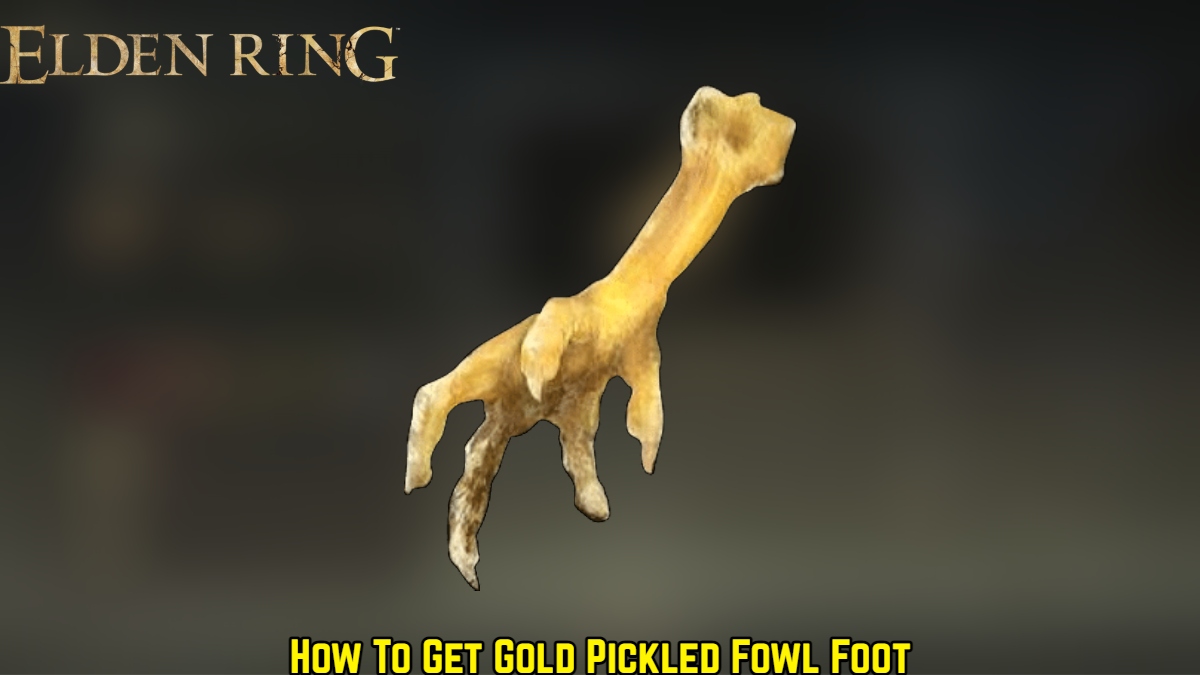 You are currently viewing How To Get Gold Pickled Fowl Foot in Elden Ring