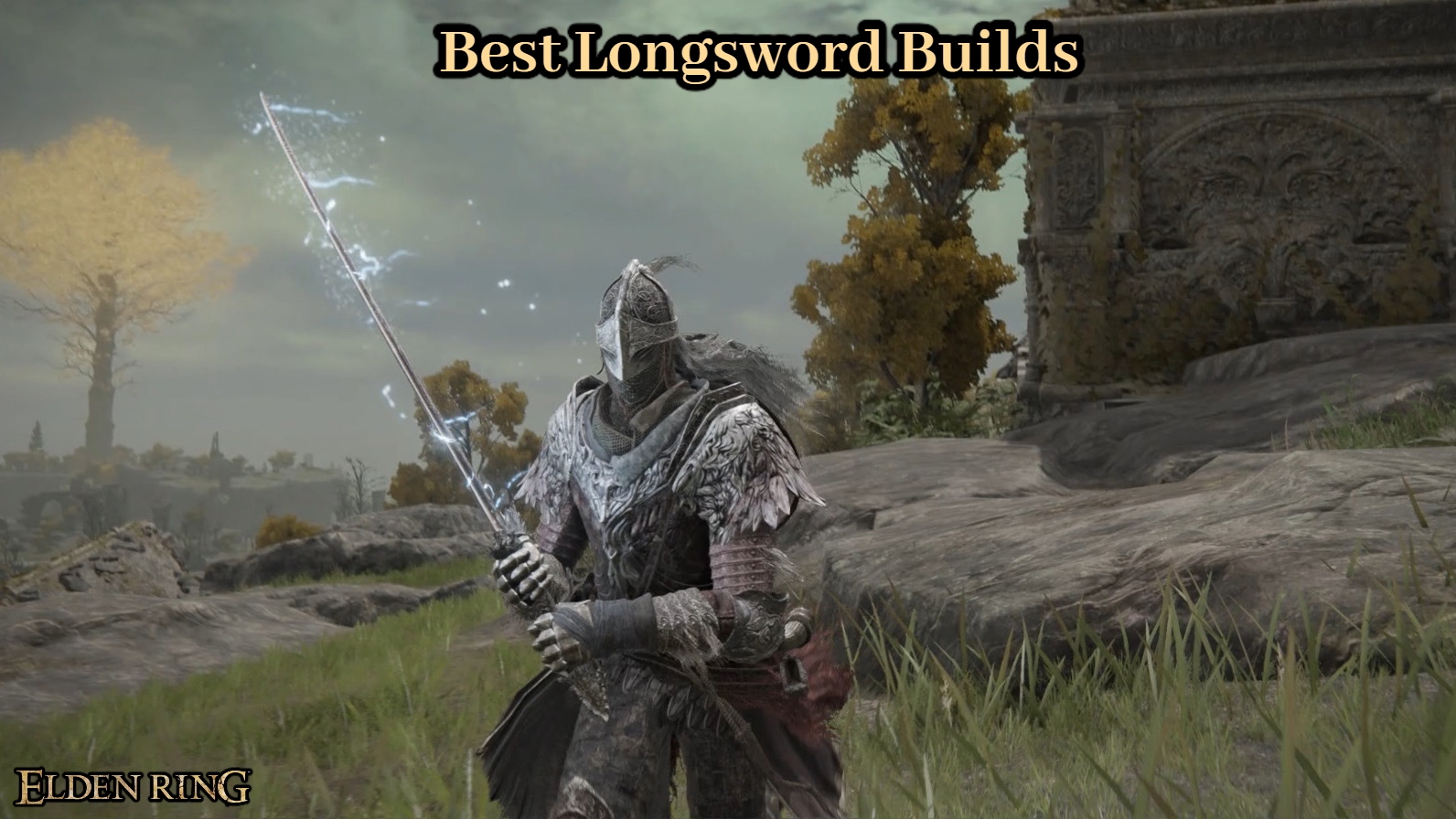 Read more about the article Best Longsword Builds In Elden Ring