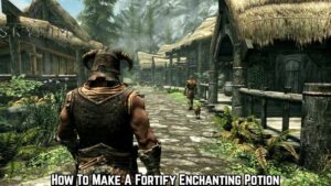 Read more about the article How To Make A Fortify Enchanting Potion In Skyrim