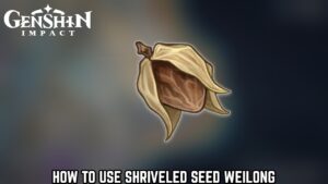 Read more about the article How To Use Shriveled Seed Weilong in Genshin Impact