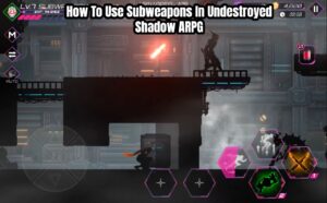 Read more about the article How To Use Subweapons In Undestroyed Shadow ARPG