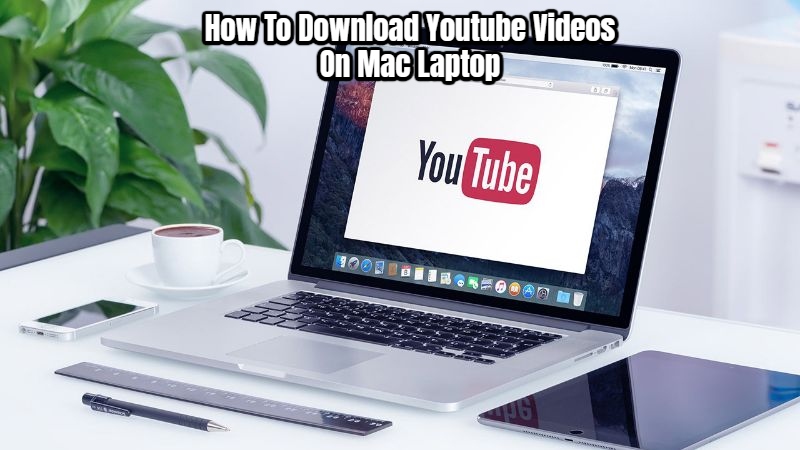 Read more about the article How To Download Youtube Videos On Mac Laptop