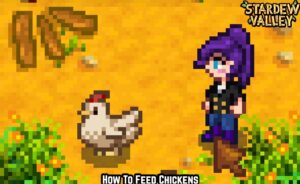 Read more about the article How To Feed Chickens In Stardew Valley 