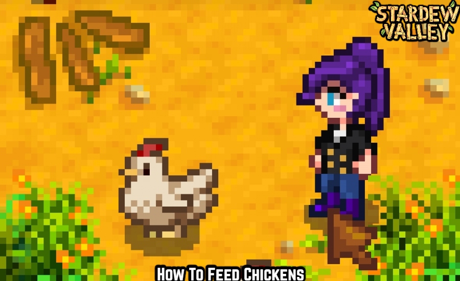 You are currently viewing How To Feed Chickens In Stardew Valley 