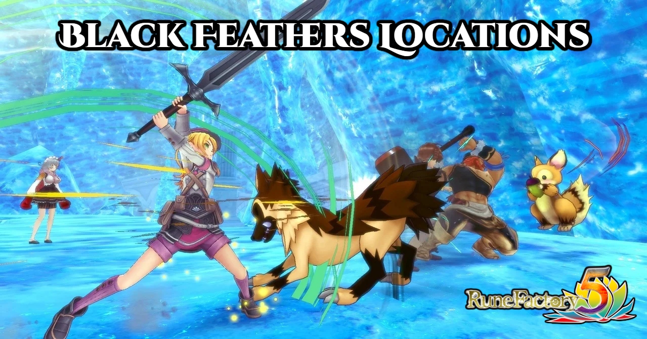 You are currently viewing Black Feathers Locations In Rune Factory 5