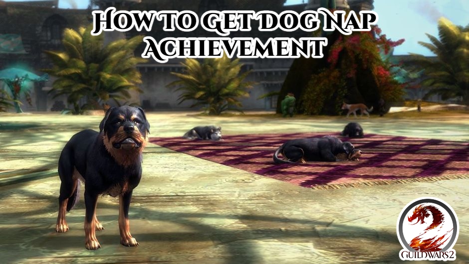 You are currently viewing How To Get Dog Nap Achievement In Guild Wars 2