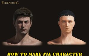 Read more about the article How To Make Fia Character In Elden Ring