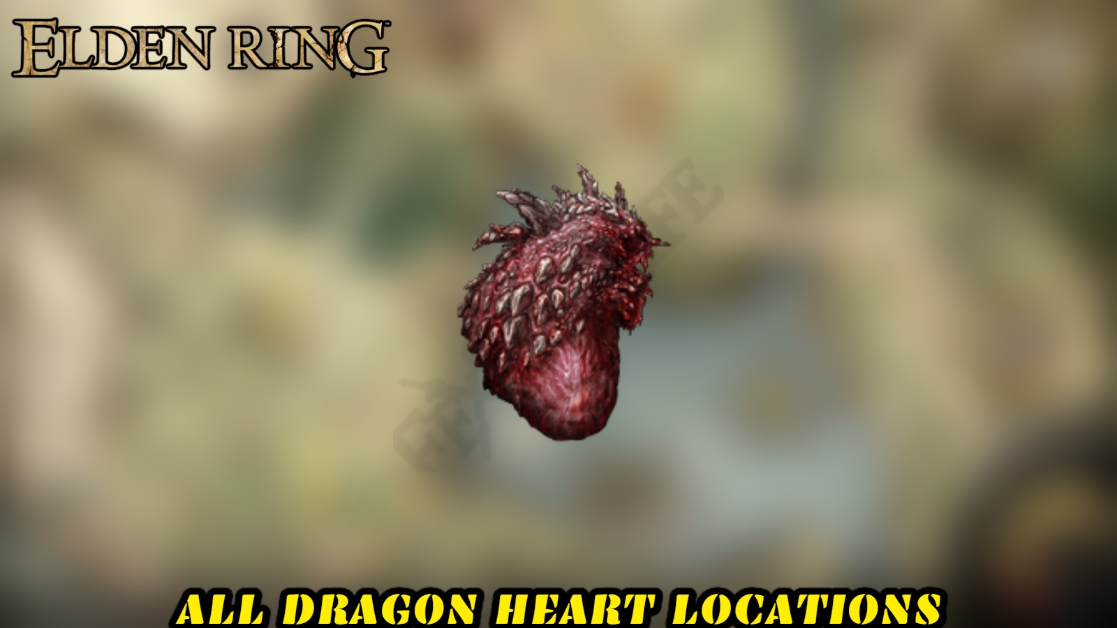 You are currently viewing All Dragon Heart Locations in Elden Ring