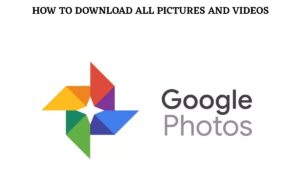 Read more about the article How To Download All Pictures and Videos From Google Photos