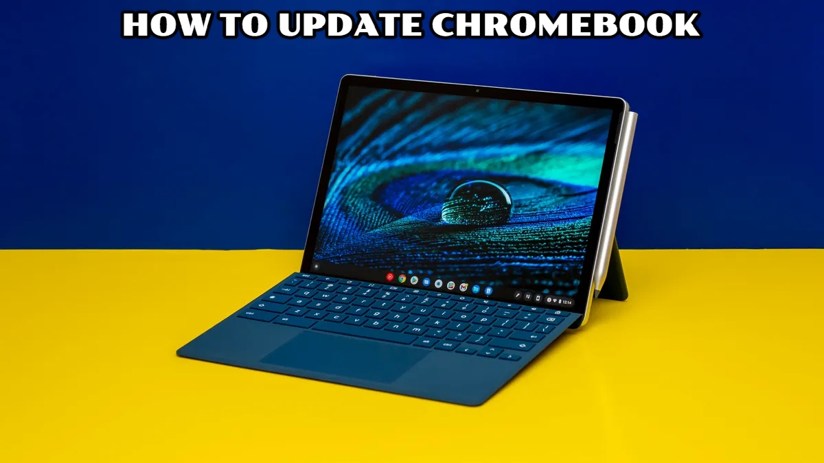 You are currently viewing How To Update Chromebook in 2022